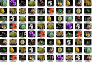 Archival Digital Wallpaper