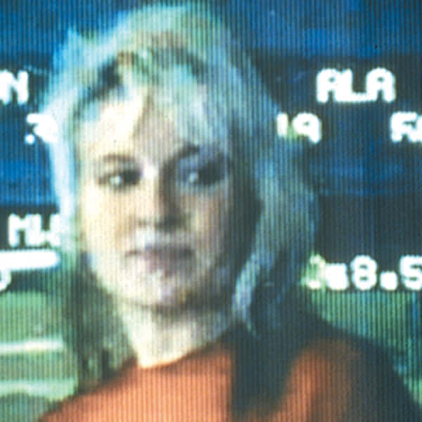 Net Works - Synthia